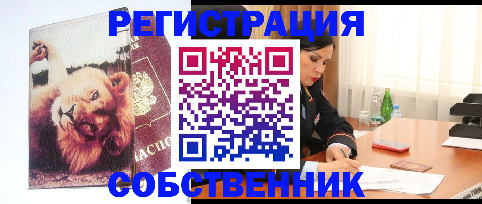 прописка от собственника в Петропавловске-Камчатском